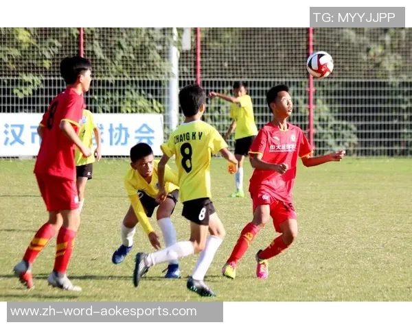 足球猪协携手推动足球文化发展助力青少年成长与健康生活 足球猪协携手推动足球文化发展助力青少年成长与健康生活